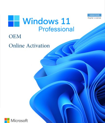 windows 11 pro oem key